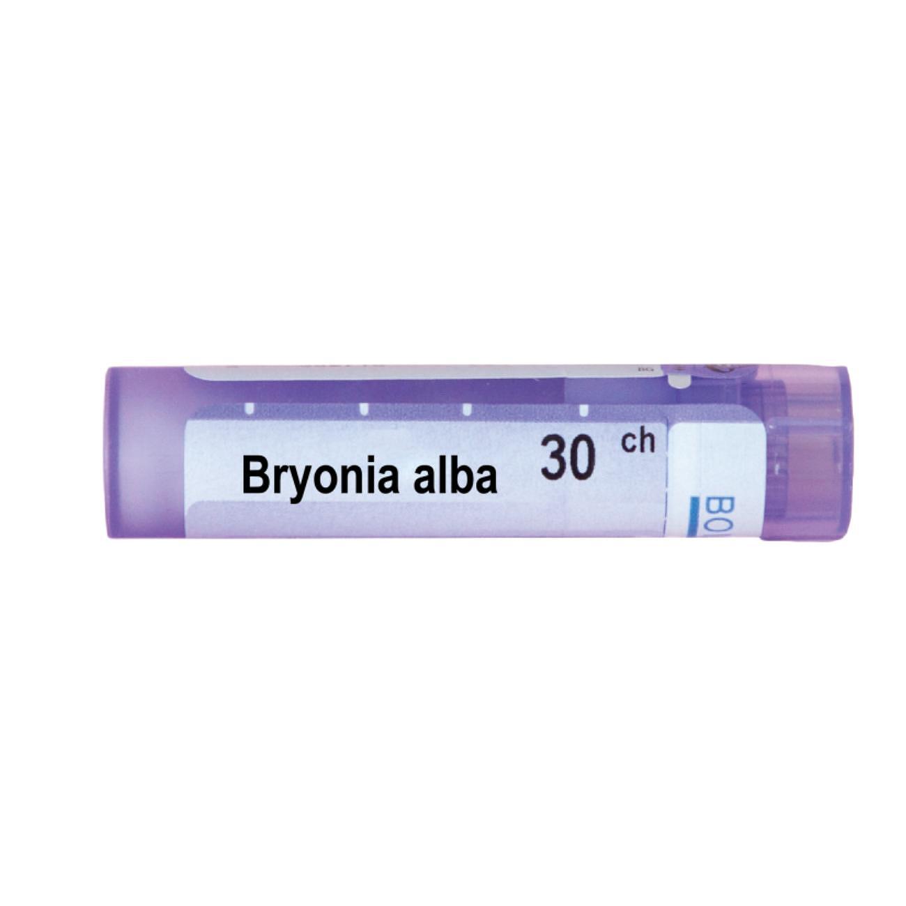 Bryonia 30 ch | Bryonia 30 ch