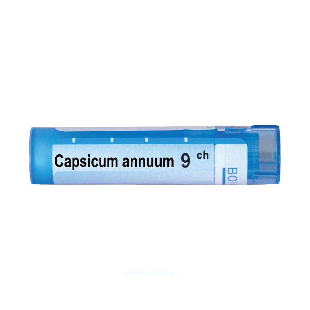 Capsicum annuum 9 ch | Capsicum annuum 9 ch