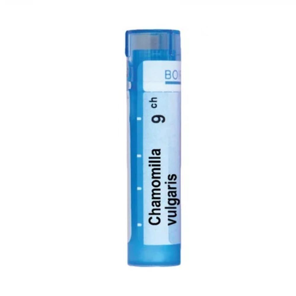 Chamomilla vulgaris 9 ch | Chamomilla vulgaris 9 ch