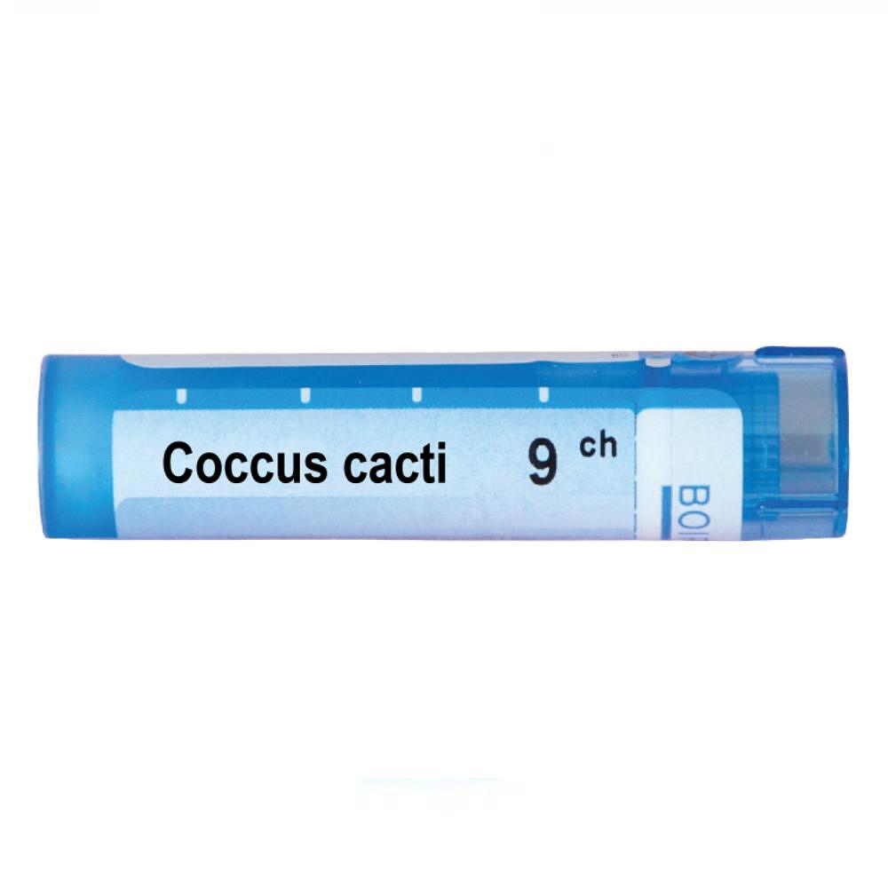 Coccus cacti 9 ch | Coccus cacti 9 ch