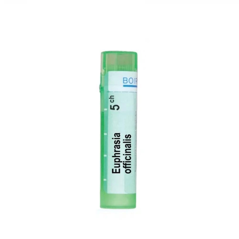 Euphrasia officinalis 5 ch | Euphrasia officinalis 5 ch