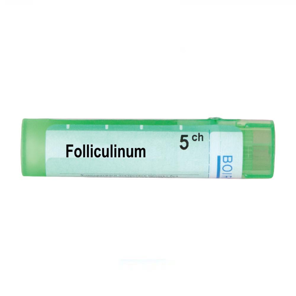 Folliculinum 5 ch | Folliculinum 5 ch