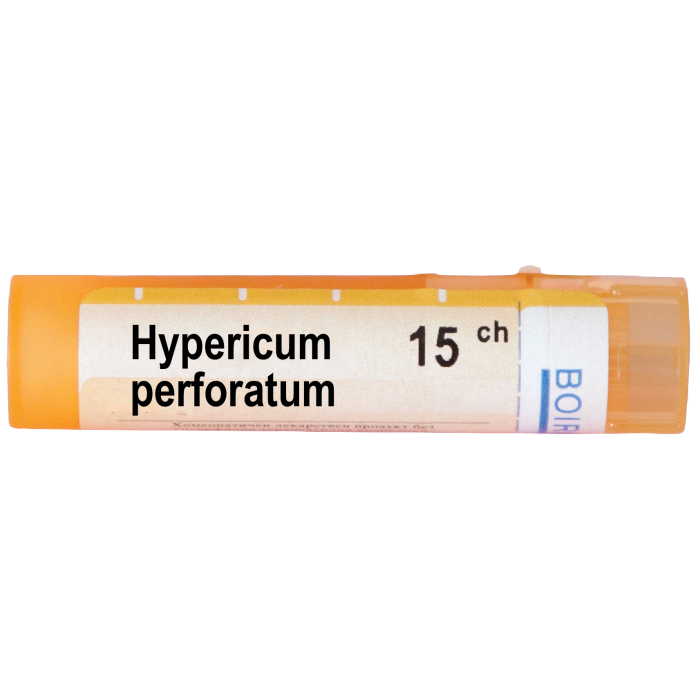 HYPERICUM PERFORATUM 15 CH