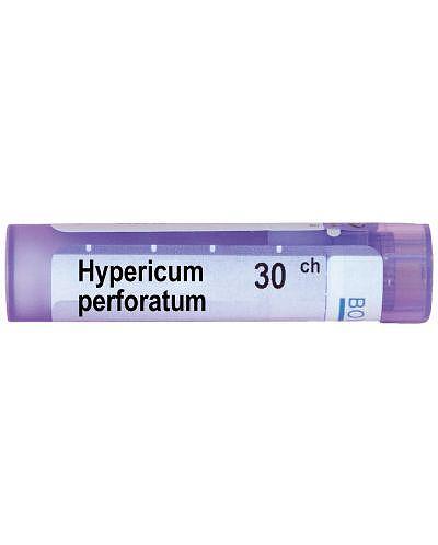 Hypericum perforatum 30 ch | Hypericum perforatum 30 ch
