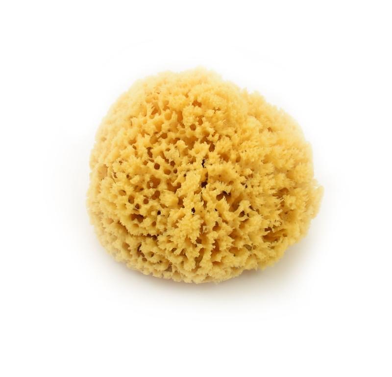 МАГНУМ 164 КОРАЛОВА ГЪБА | MAGNUM 164 CORAL MUSHROOM