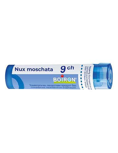 Nux moschata 9 ch