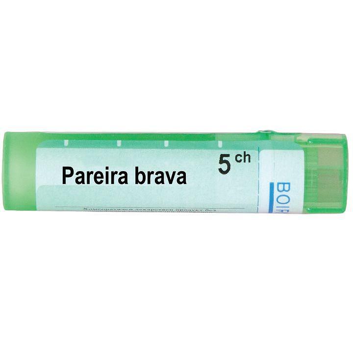 Pareira brava 5 ch | Pareira brava 5 ch
