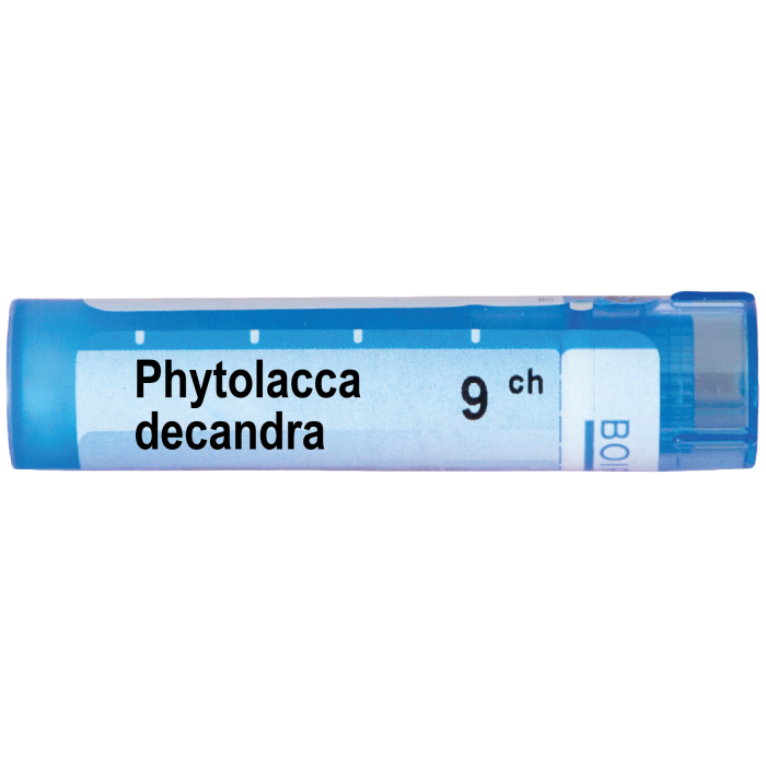 Phytolacca decandra 9 ch | Phytolacca decandra 9 ch