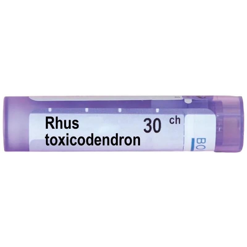 Rhus toxicodendron 30 ch | Rhus toxicodendron 30 ch
