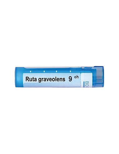 Ruta graveolens 9 ch | Ruta graveolens 9 ch