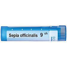 Sepia officinalis 9 ch | Sepia officinalis 9 ch