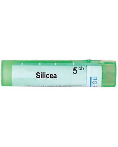 Silicea 5 ch | Silicea 5 ch