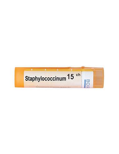 Staphylococcinum 15 ch | Staphylococcinum 15 ch