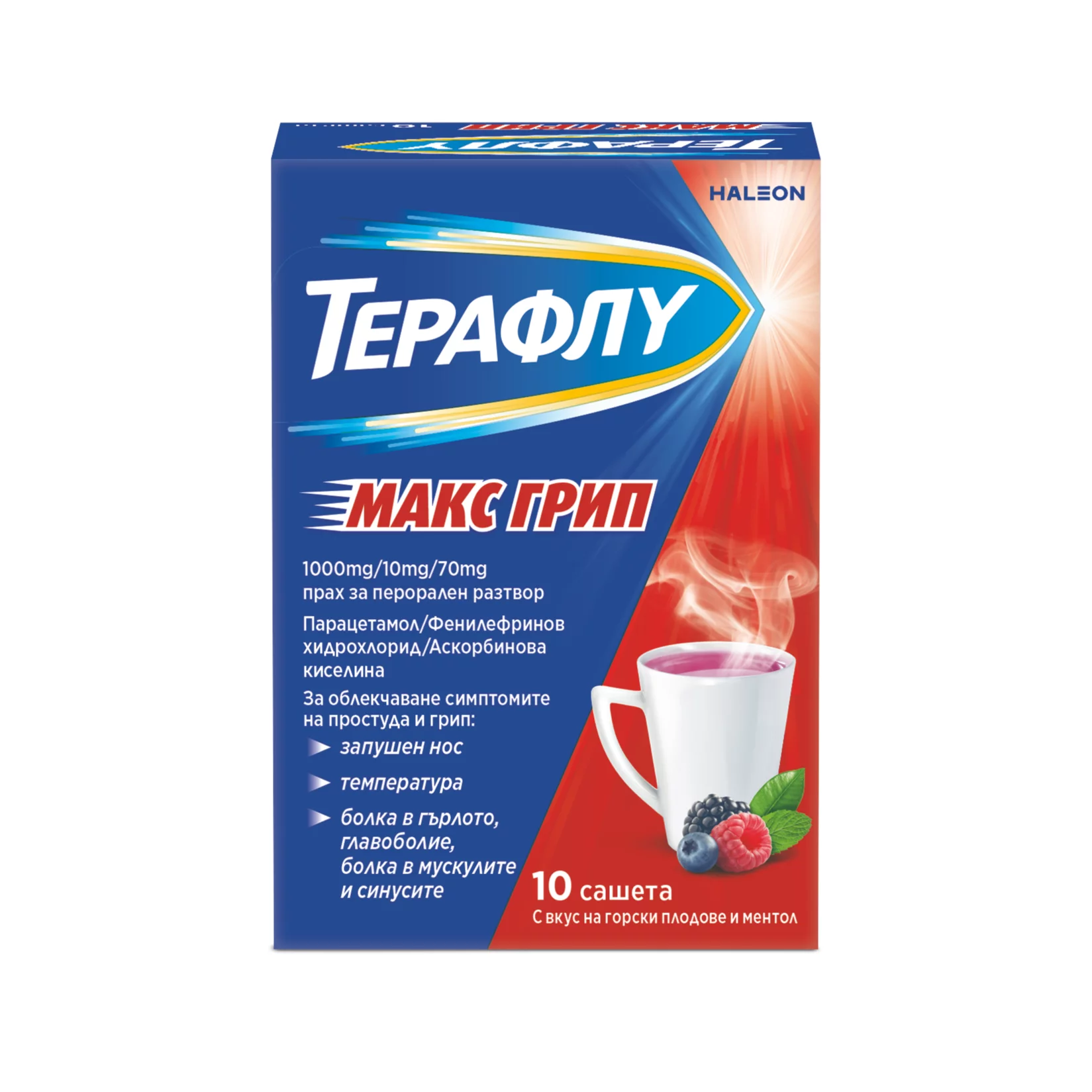 ТЕРАФЛУ МАКС ГРИП ГОРСКИ ПЛОДОВЕ САШЕТА Х10 | TERAFLU MAX FLU FOREST FRUITS SACHET X10