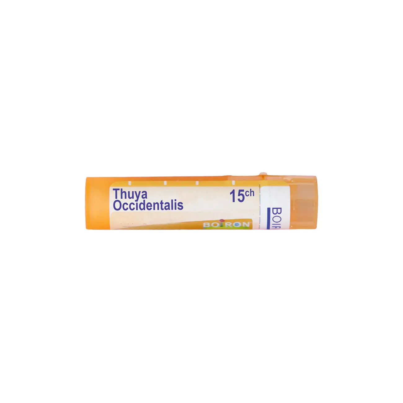 Thuya occidentalis 15 ch | Thuya occidentalis 15 ch
