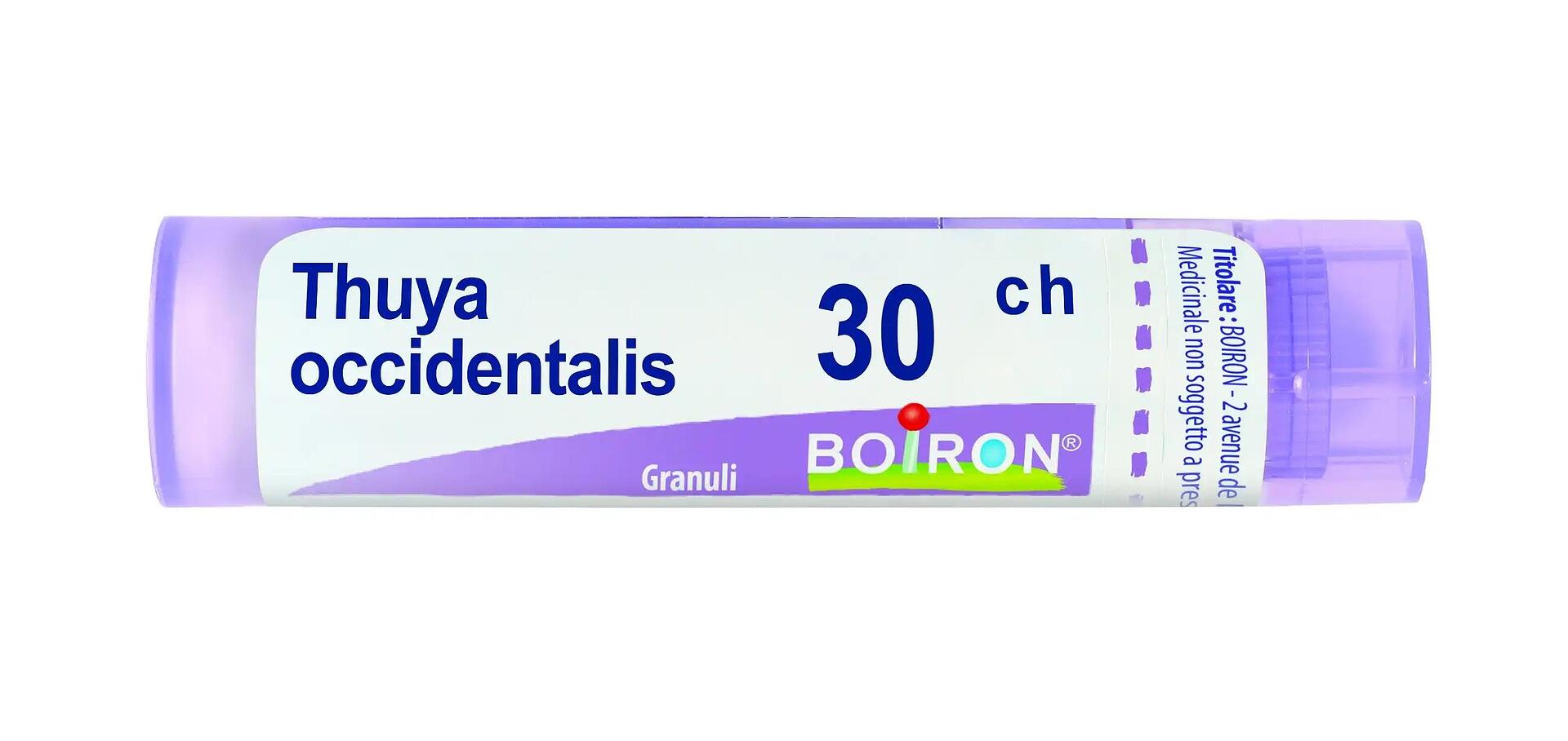 Thuya occidentalis 30 ch | Thuya occidentalis 30 ch