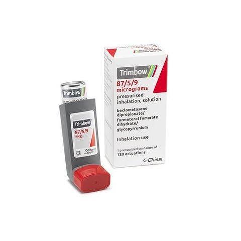 ТРИМБОУ ИНХ. 87МКГ/5МКГ/9МКГ Х 1 RF221 | TRIMBOW INC. 87MG/5MG/9MG X 1 RF221