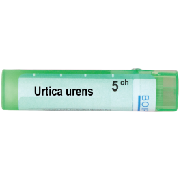 Urtica urens 5 ch | Urtica urens 5 ch
